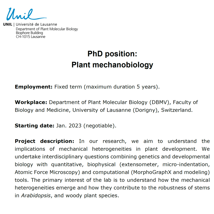 Call for a PhD student in&nbsp;mechanobiology