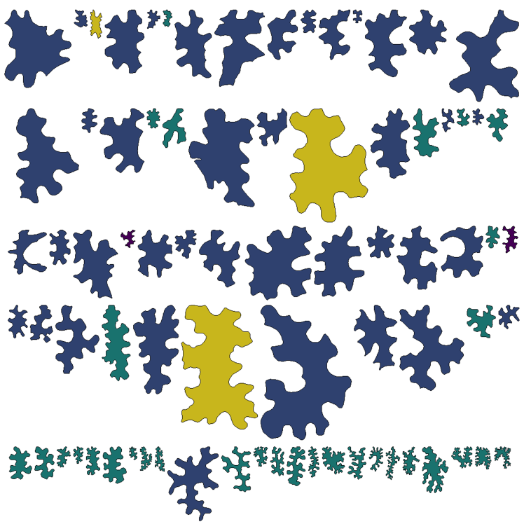 Interplay of growth with mechanical constraints forms puzzle&nbsp;cells