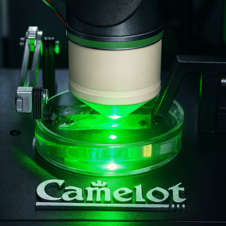 Introducing Camelot: affordable precision tool for plant biomechanics&nbsp;research